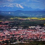 Sightseeing Flight (14)